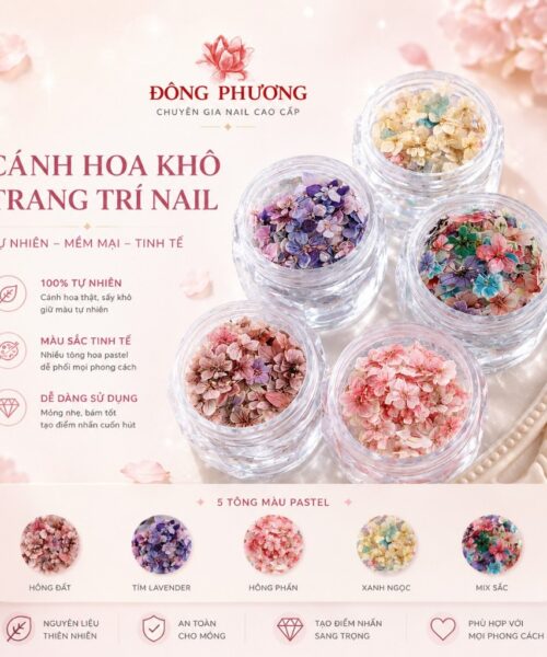 Hoa khô trang trí móng cao cấp
